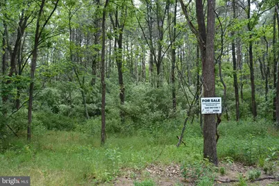 Two Lots On Siler Road, Winchester, VA 22603 - Photo 37