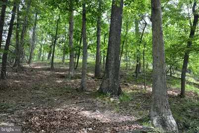 Two Lots On Siler Road, Winchester, VA 22603 - Photo 27