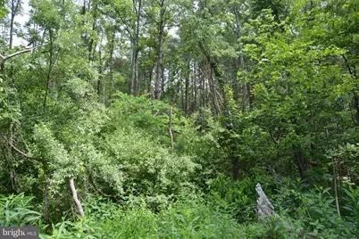 Two Lots On Siler Road, Winchester, VA 22603 - Photo 5
