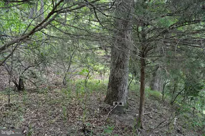 Two Lots On Siler Road, Winchester, VA 22603 - Photo 29