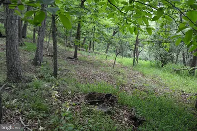 Two Lots On Siler Road, Winchester, VA 22603 - Photo 33