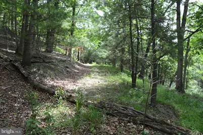 Two Lots On Siler Road, Winchester, VA 22603 - Photo 25