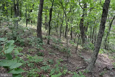 Two Lots On Siler Road, Winchester, VA 22603 - Photo 23