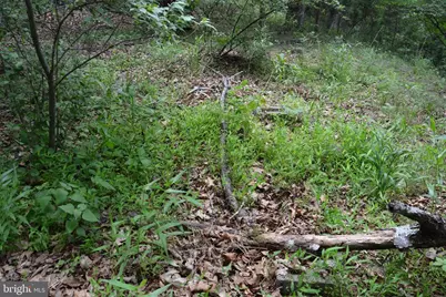 Two Lots On Siler Road, Winchester, VA 22603 - Photo 31