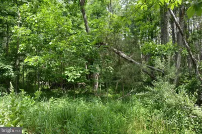 Two Lots On Siler Road, Winchester, VA 22603 - Photo 3