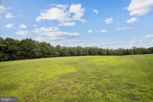 886 Middle Fork Rd, Cross Junction, VA 22625 - Photo 61