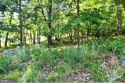 Lot 116 Arum Trail, Star Tannery, VA 22654 - Photo 15
