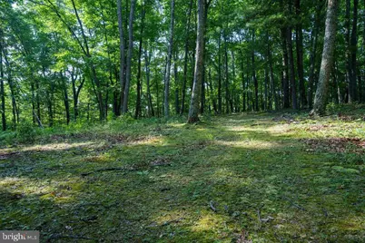 Pack Horse Road Lot A, Winchester, VA 22603 - Photo 11