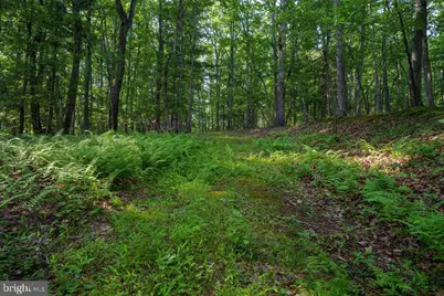 Pack Horse Road Lot C, Winchester, VA 22603 - Photo 7