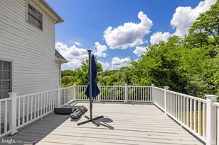253 Sylvan Springs Dr, Clear Brook, VA 22624 - Photo 63