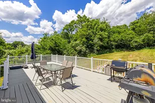 253 Sylvan Springs Dr, Clear Brook, VA 22624 - Photo 61