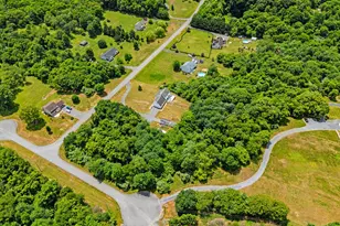 253 Sylvan Springs Dr, Clear Brook, VA 22624 - Photo 79