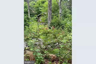 616 Opossum Trail, Winchester, VA 22602 - Photo 15