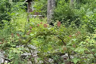 616 Opossum Trail, Winchester, VA 22602 - Photo 15