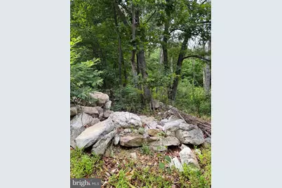 616 Opossum Trail, Winchester, VA 22602 - Photo 17