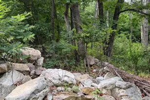 616 Opossum Trail, Winchester, VA 22602 - Photo 17