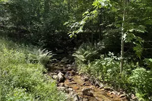 415 Puma Trail, Winchester, VA 22602 - Photo 17