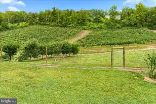 1309 Redland Rd, Cross Junction, VA 22625 - Photo 77