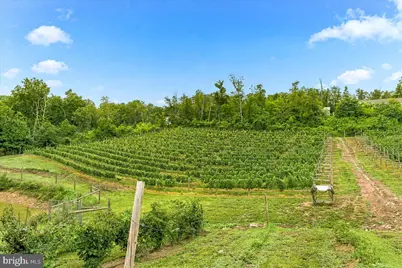 1309 Redland Road, Cross Junction, VA 22625 - Photo 59