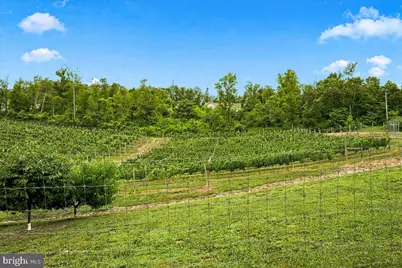 1309 Redland Road, Cross Junction, VA 22625 - Photo 57