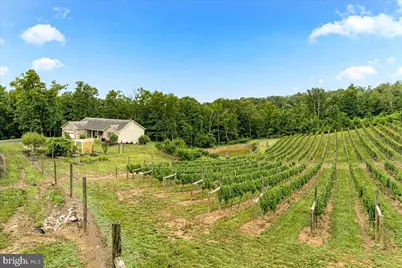 1309 Redland Road, Cross Junction, VA 22625 - Photo 75