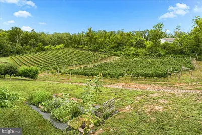1309 Redland Road, Cross Junction, VA 22625 - Photo 83