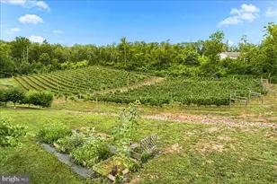 1309 Redland Rd, Cross Junction, VA 22625 - Photo 83