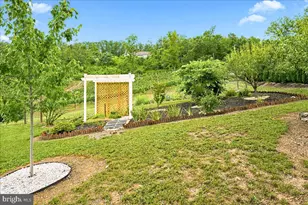 1309 Redland Rd, Cross Junction, VA 22625 - Photo 53