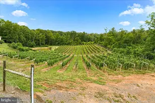1309 Redland Rd, Cross Junction, VA 22625 - Photo 87