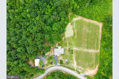 1309 Redland Road, Cross Junction, VA 22625 - Photo 95