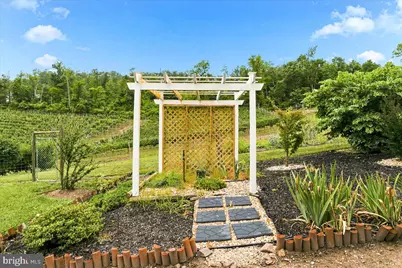 1309 Redland Road, Cross Junction, VA 22625 - Photo 65