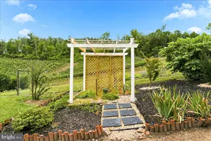 1309 Redland Rd, Cross Junction, VA 22625 - Photo 65