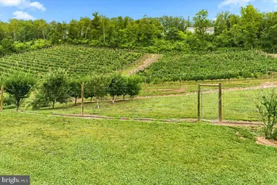 1309 Redland Road, Cross Junction, VA 22625 - Photo 93