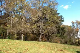 444 Laurel Grove Rd, Winchester, VA 22602 - Photo 9