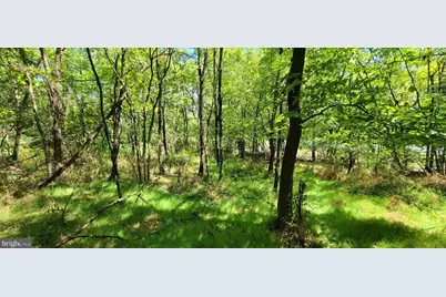 209 Mineral Street, Middletown, VA 22645 - Photo 1