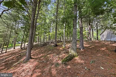 519 Northwood Circle, Cross Junction, VA 22625 - Photo 5