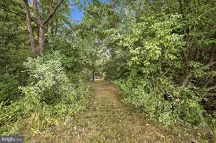 150 Lake Holiday Rd, Cross Junction, VA 22625 - Photo 63