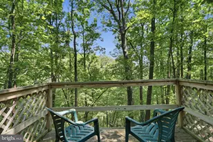 414 Devil's Backbone Overlook, Stephenson, VA 22656 - Photo 59