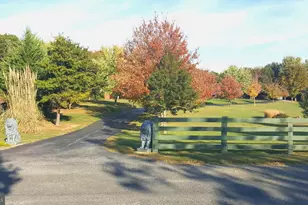 414 Devil's Backbone Overlook, Stephenson, VA 22656 - Photo 55