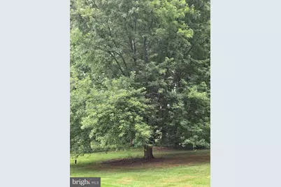 112 Beverly Dr, Winchester, VA 22602 - Photo 31