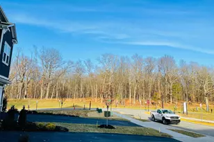 106 Choke Cherry Ct, Lake Frederick, VA 22630 - Photo 19