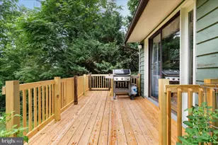 180 Quaker Ln, Winchester, VA 22603 - Photo 33