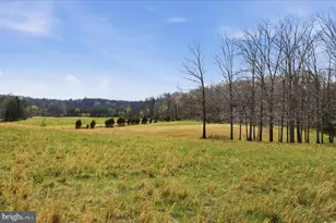 Light Rd, Winchester, VA 22603 - Photo 27