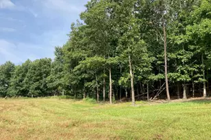 Light Rd, Winchester, VA 22603 - Photo 61