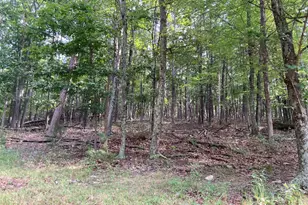 Light Rd, Winchester, VA 22603 - Photo 67