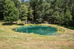 Light Rd, Winchester, VA 22603 - Photo 63