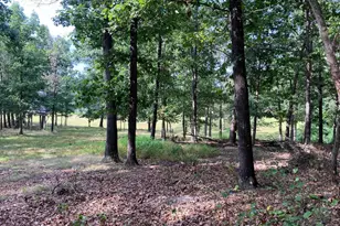 Light Rd, Winchester, VA 22603 - Photo 11
