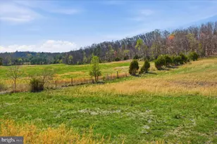 Light Rd, Winchester, VA 22603 - Photo 23