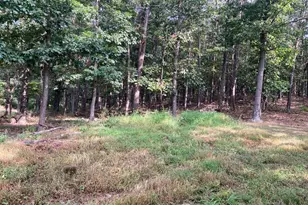 Light Rd, Winchester, VA 22603 - Photo 69