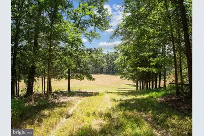 Light Road, Winchester, VA 22603 - Photo 9